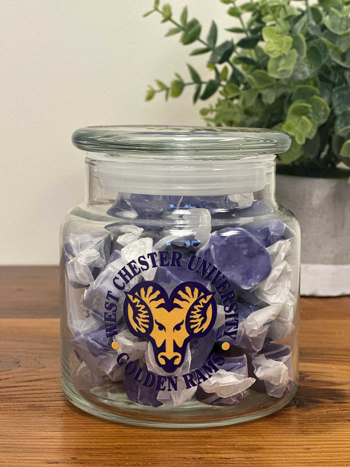 WCU Golden Rams Candy Jar Filled with Grape Salt Water Taffy