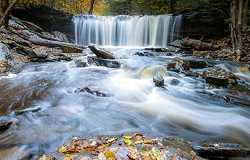Photograph of Waterfall in Forest by Erica Thompson