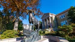 Ram Statue Autumn Leaves